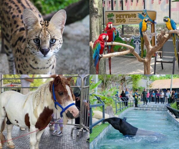 Cuti sekolah dah tiba! Jom bawa anak-anak terokai dunia haiwan di KL & Selangor