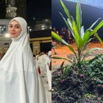 Abang Mimi Lana meninggal dunia